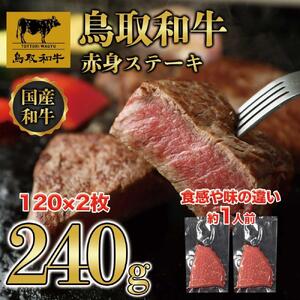 鳥取和牛 赤身ステーキ 240g（120g×2枚） KT010-001