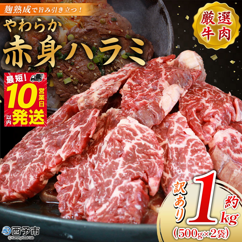 【ふるさと納税】＜麹熟成で旨み引き立つ！やわらか赤身ハラミ 約1kg（500g×2）＞ 訳あり はらみ ハラミ 赤身 大容量 牛肉 お肉 焼肉 BBQ 味付き 麹 コスパ 塩味 レシピ 丼 献立 惣菜 おかず 簡単 グルメ 株式会社丸和 愛媛県 西予市【冷凍】『最短10営業日以内に順次出荷』