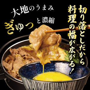 【12回定期便 】 牛肉 切り落とし 新発田牛 計3kg 切り落とし enomoto025