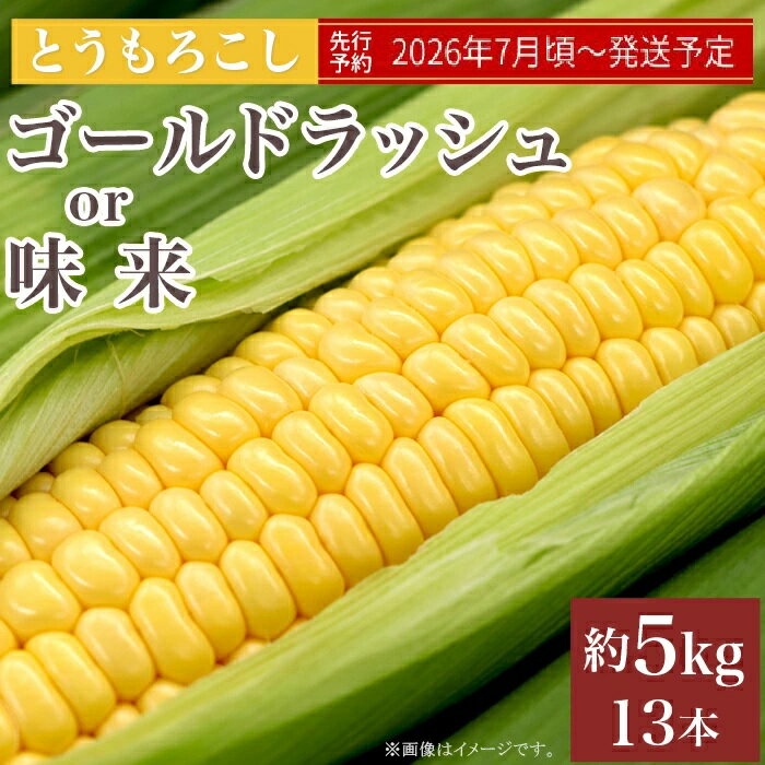 【ふるさと納税】とうもろこし トウモロコシ スイートコーン 朝採れ クール便 先行予約 325 とうもろこし ゴールドラッシュ or 味来 約5kg 13本 朝採れ 黄 茨城 先行予約 2026年7月頃～発送予定