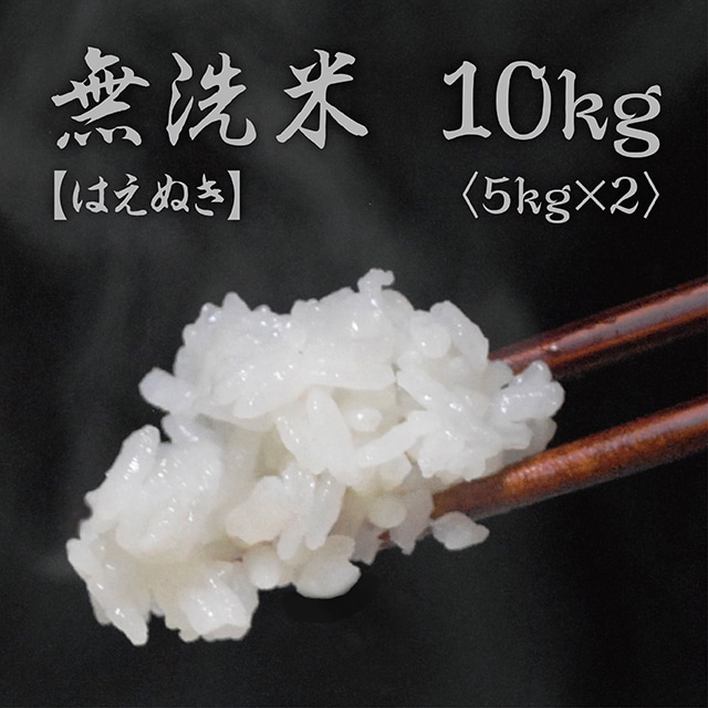 無洗米 はえぬき 令和7年産 10kg（5kg×2袋） 2025年産 山形県 朝日町産 精米 米 こめ コメ