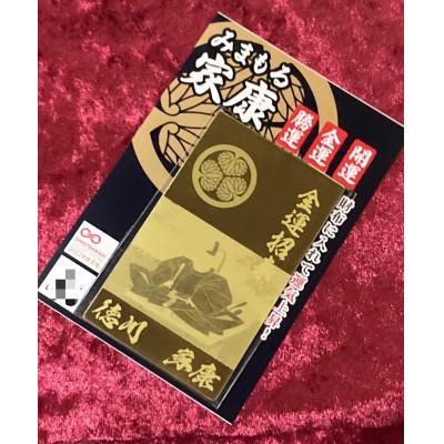 ふるさと納税 岡崎市 みまもる家康「金運招来」