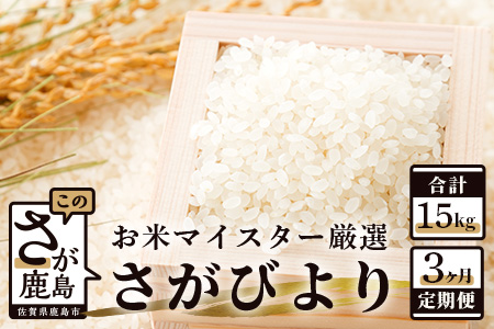さがびより 新米 定期便 3ヶ月 佐賀県産 白米 5kg《3ヶ月連続 毎月お届け》D-63 3回 令和7年産