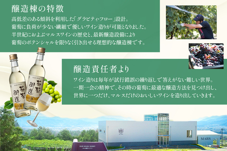 ワイン 白 やや辛口 葡萄街道 360ml 12本 ワインセット