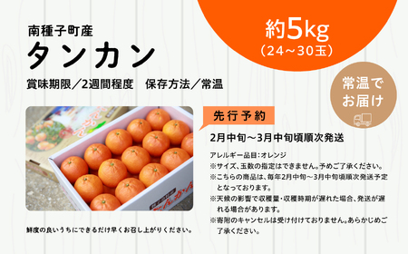 《 先行予約 》【2024年2月中旬～3月中旬頃順次発送】種子島産タンカン約5kg （24玉～30玉）【南種子町果樹部会】