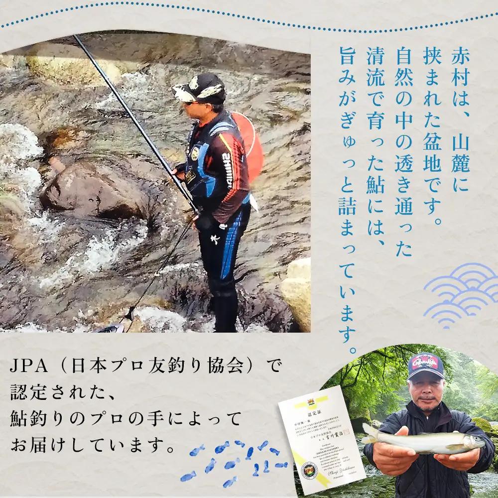 冷凍鮎 約1kg  鮎 川魚 3E6