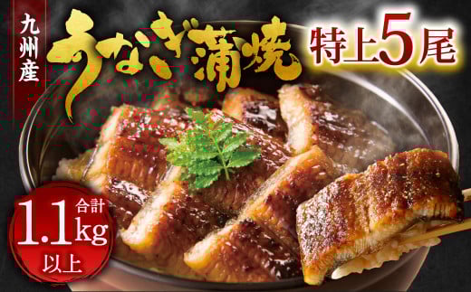 九州産 うなぎ 蒲焼 特上 5尾 計1.1kg以上 (1尾あたり220～235g)【2025年9月発送】