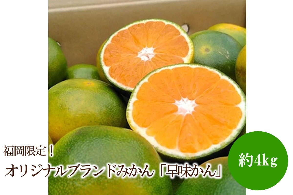 
                  福岡限定!オリジナルブランドみかん「早味かん」約4kg【011-0099】
                