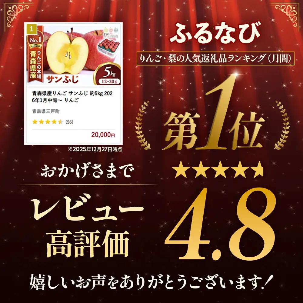 青森県産りんご サンふじ 約5kg 11月下旬～ りんご