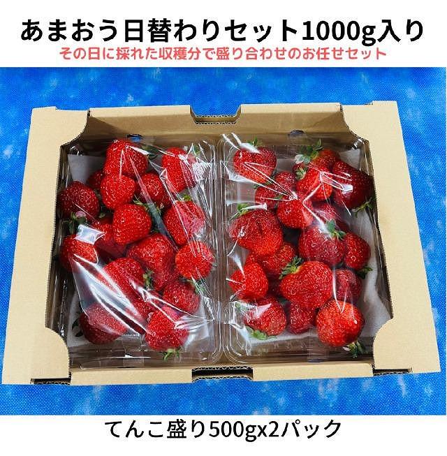 【2027年1月～4月出荷分予約販売】ボリューム満点てんこ盛り500g×2パック！完熟あまおう日替わりセット1000g