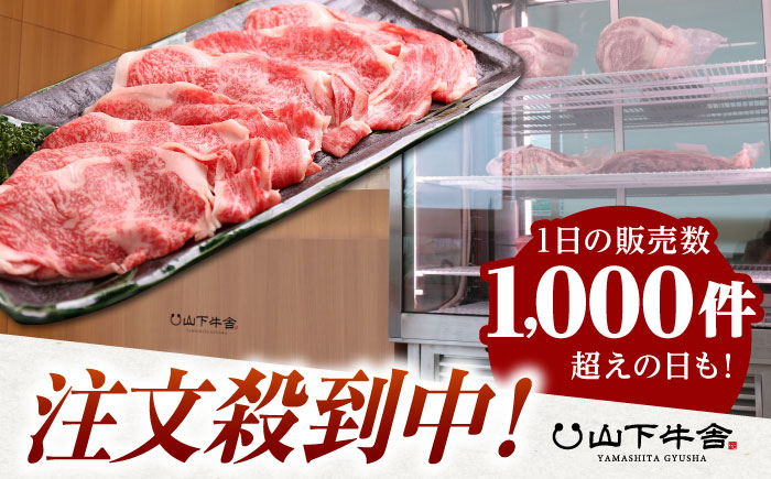 【霜降り A5ランク】佐賀牛 肩ロース スライス 500g（すき焼き用）【山下牛舎】 [HAD042]