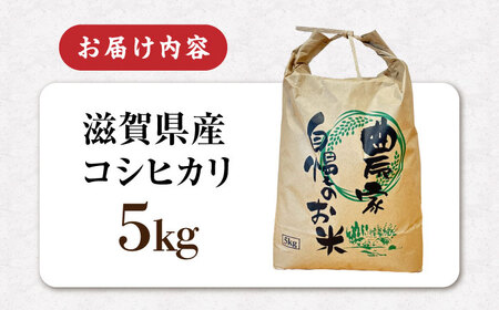 無洗米 コシヒカリ 5kg [AQDK003] 無洗米