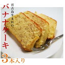 【ふるさと納税】宮古島特産　バナナケーキ（約200g×3本） | 第25回全国大菓子博覧会金賞受賞 ばななケーキ バナナ 名産 特産 名産品 ご当地 グルメ お取り寄せグルメ 取り寄せ お取り寄せ 送料無料 人気 ギフト プレゼント 宮古島 離島 南国