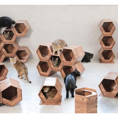 ふるさと納税 関市 高性能ダンボール材を使った組立式キャットハウス　「CAT CUBE」　 |  | 02