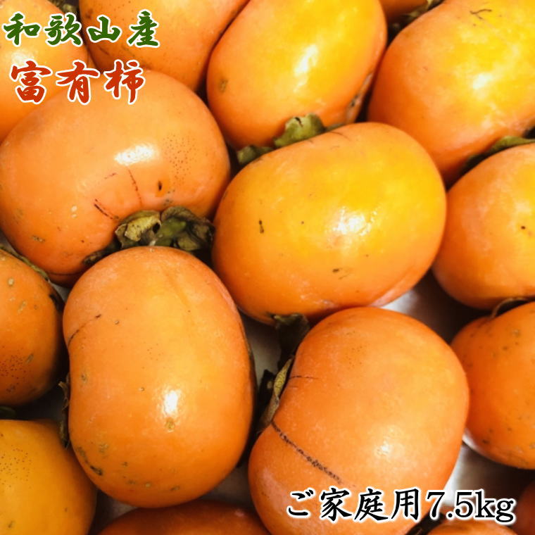 【ふるさと納税】和歌山産富有柿ご家庭用約7.5kg★2025年11月上旬～12月中旬頃順次発送【TM6】 | 柿 果物 くだもの フルーツ 期間限定 数量限定 残りわずか 大容量 人気 おすすめ お取り寄せ グルメ 先行予約 和歌山県 かつらぎ町