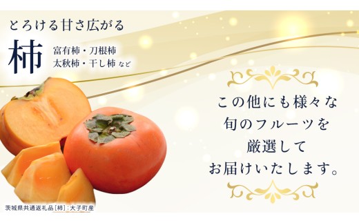 定期便【化粧箱入り2段】厳選フルーツ10〜12種プレミアムセット【毎月1回連続6か月(計6回)】（茨城県共通返礼品） 田舎の頑固おやじが厳選！ 人気 厳選 果物 くだもの 旬 旬の果物 旬のフルーツ 