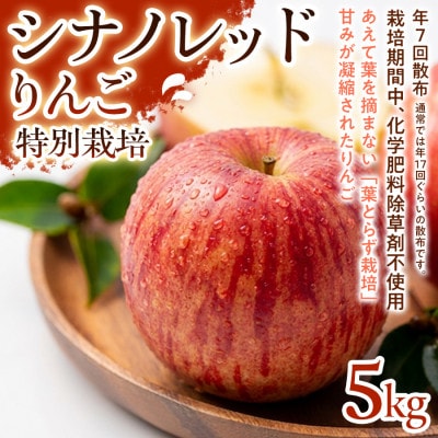 【軽やかな甘さと食べやすさ】シナノレッド 5kg 1セット【1780255】