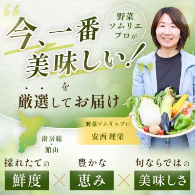 ふるさと納税 館山市 【毎月定期便】【下旬発送】こだわりの旬野菜BOX「リエビン」季節の野菜セット全12回 |  | 01