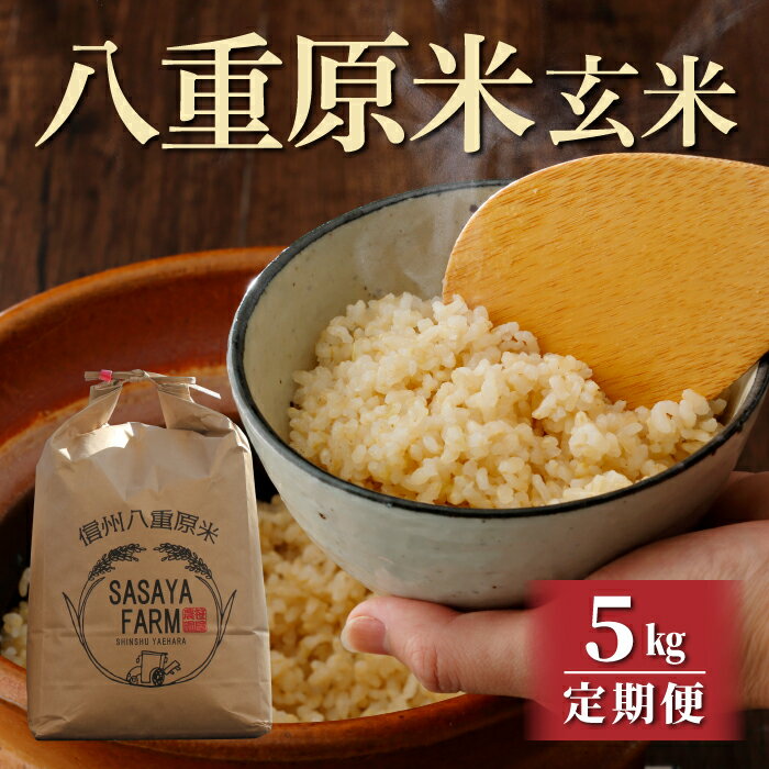 【ふるさと納税】令和7年新米予約【定期便】八重原米5kg（5kg×1袋）玄米　※2025年10月以降順次発送｜笹屋農園