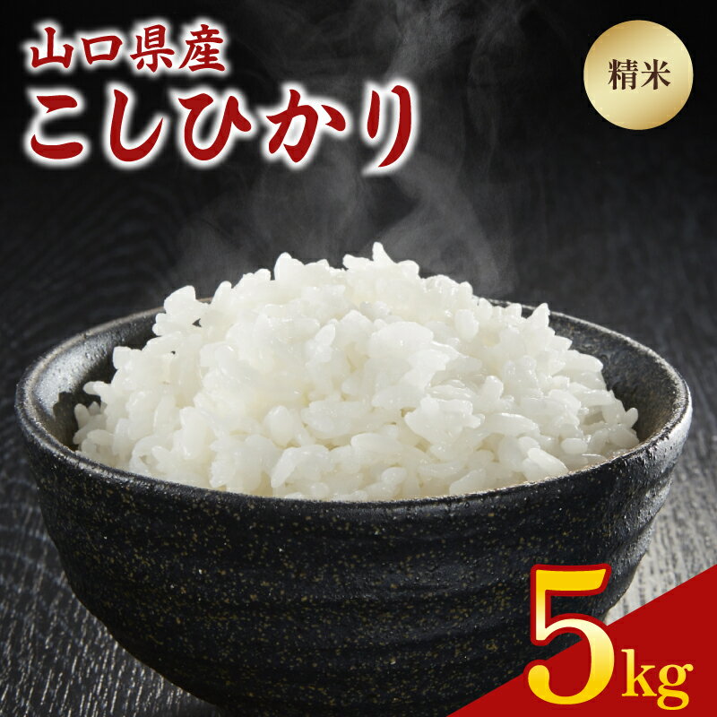 【ふるさと納税】令和7年度米 こしひかり 5kg 山口県 下関市産 精米 白米 こめ コメ お米 ご飯 ごはん 下関 山口