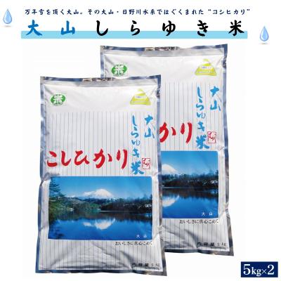 ふるさと納税 米子市 令和6年産 大山しらゆき米10kg(精白、コシヒカリ、5kg×2)