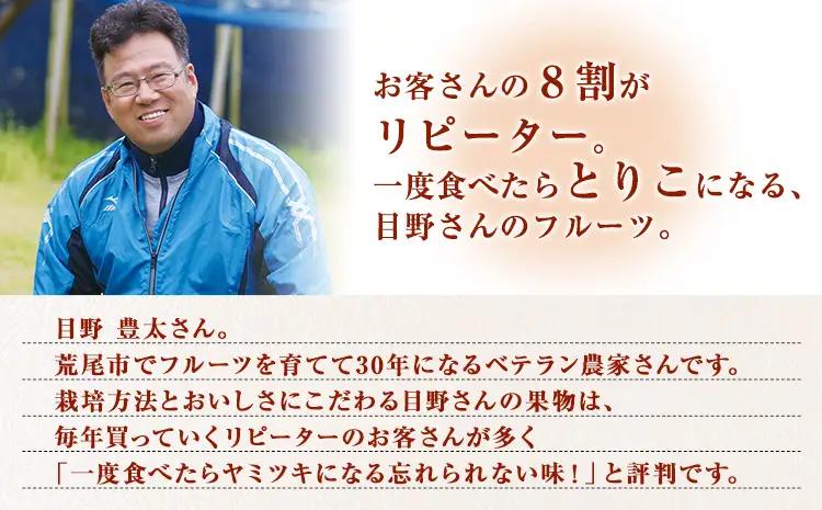 【先行予約】【2ヶ月定期便】黒ぶどう シャインマスカット 2kg マスカット フルーツ 果物 新鮮 《8月上旬-9月下旬頃出荷》熊本県 荒尾市産 目野果実直売所 巨峰 藤稔 ブラックビート ピオーネ　
