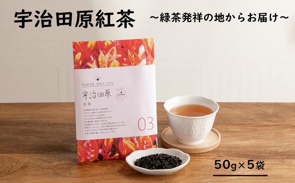 
            緑茶発祥の地からお届け「宇治田原紅茶」50g×5袋〈紅茶 お茶 茶 茶葉 フルーティー 飲料〉  n01147
          