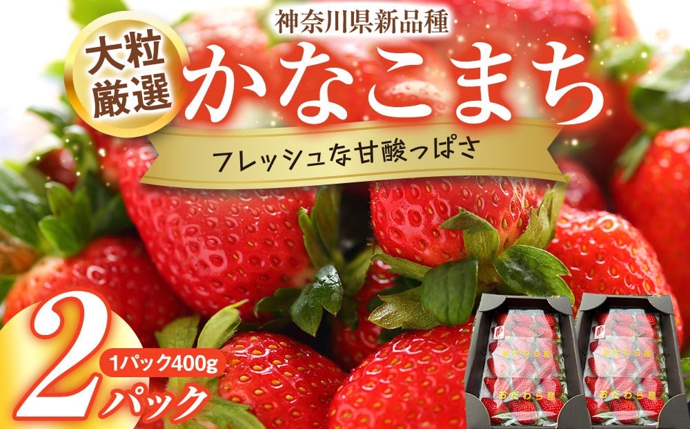 
            大粒厳選　神奈川県新品種「かなこまち」　完熟イチゴ　苺　2パック入り
          