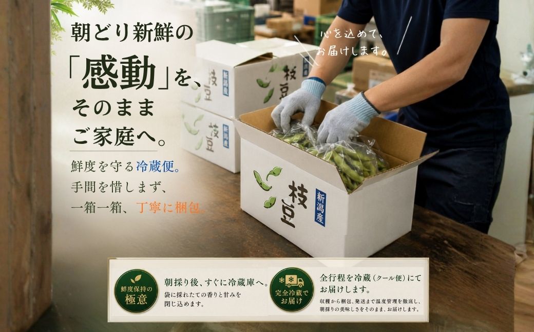【先行予約】 朝どり新鮮 新潟 枝豆 えだまめ 茶豆 3kg | 特産品 野菜 おつまみ 晩酌 濃厚な甘さ お取り寄せ おすすめ プレゼント ギフト 贈答 贈り物 3キロ 新潟県 弥彦村 農事組合法人 サンファーム大戸