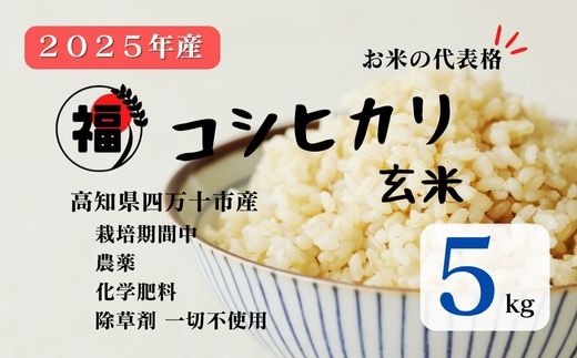 【令和7年産】四万十市産 コシヒカリ 玄米 5kg 栽培期間中農薬・ 化学肥料・除草剤不使用 国産 こしひかり 2025年産 米 こめ コメ ご飯 高知 四万十 しまんと 農家直送 蕨岡の百姓 福留壯 オーガニック 25-0015