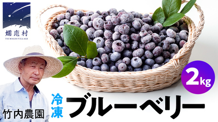 【数量限定】 冷凍ブルーベリー2kg 国産 [AD003tu]