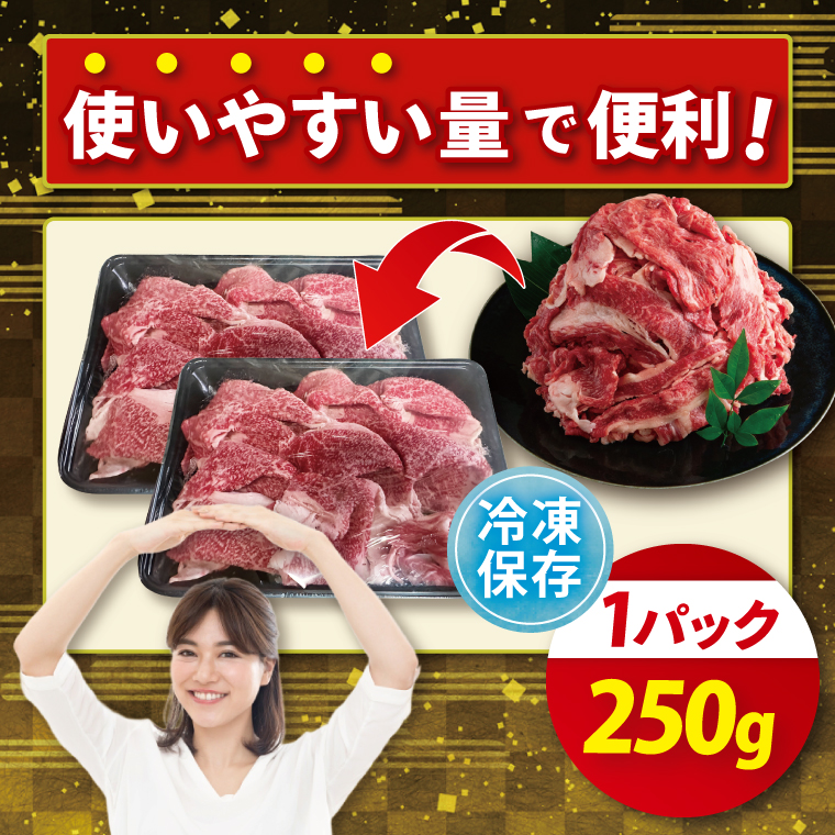 【茨城県共通返礼品】【12ヶ月定期便】常陸牛切り落とし 750g（250g×3）【黒毛和牛 国産 銘柄牛 牛肉 肉 冷凍 茨城県産】(81-29)