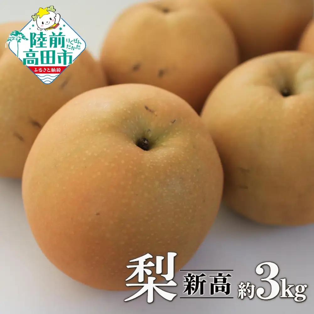 旬の味覚 梨 品種：新高 約3kg 訳あり ご家庭用 梨