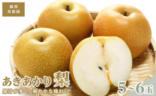 
藤渕果樹園のあきあかり梨（1）【5～6玉入り】【フルーツ 果物 くだもの 食品 人気 おすすめ 送料無料】
