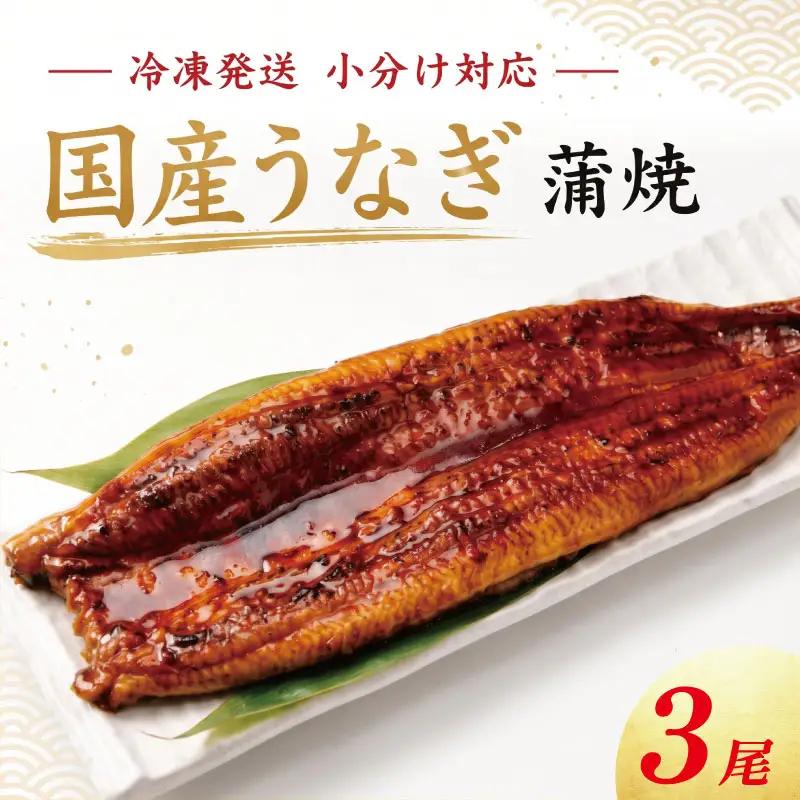 うなぎ 蒲焼 国産 小サイズ 3尾