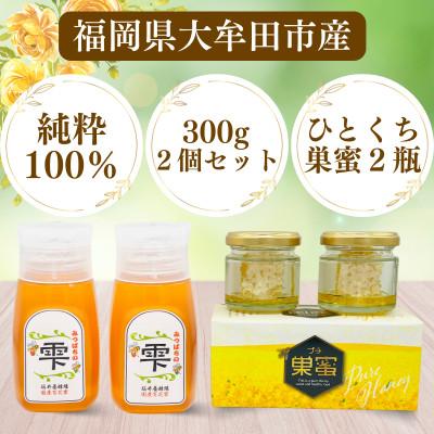 ふるさと納税 大牟田市 坂井養蜂場　みつばちの雫+プチ巣蜜セット　国産百花蜜300g×2　国産巣蜜30g×2 | 