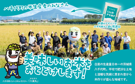 【令和7年産】新米 白米 にじのきらめき 5kg スピード発送(5kgx1袋)《2～14日で出荷》
