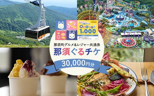 那須町グルメ＆レジャー共通券「那須ぐるチケ」30,000円分（1,000円券×30枚）〔G-59〕｜チケット 券 利用券 商品券 クーポン券 割引券 食事券 食事 日帰り 旅行 日帰り旅行 観光 リゾート サファリパーク 動物園 遊園地 レストラン カフェ ジェラート グルメ ロープウェイ アウトドア レジャー 体験 家族旅行 那須高原 《2026年3月末までの申込みで有効期限延長！》
