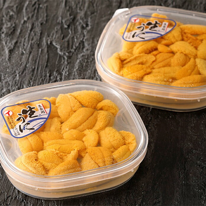 【ふるさと納税】【12月17日決済確定分まで年内配送】 エゾバフンウニ塩水パック 選べる 50 ~ 60g × 2P 70g × 2P うに ウニ 雲丹 バフンウニ エゾバフンうに 塩水 塩水うに 塩水ウニ えぞばふんうに 蝦夷バウンウニ 蝦夷ばふんうに ウニ丼 うに丼 雲丹丼 海鮮 北海道