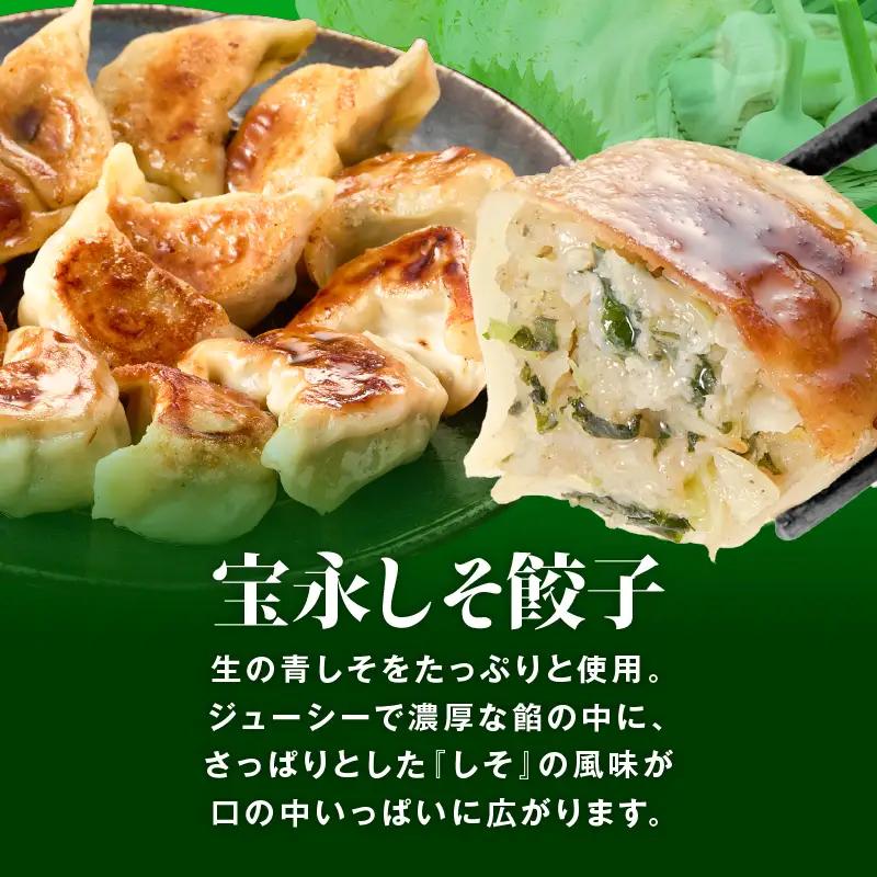 【 全6回 定期便（隔月）】ぎょうざ の 宝永 しそ餃子セット（ 宝永餃子 15個入×2袋＆ しそ餃子 15個入×2袋 ）合計1.5kg T004-T04-03 惣菜 総菜 ギョウザ 餃子 