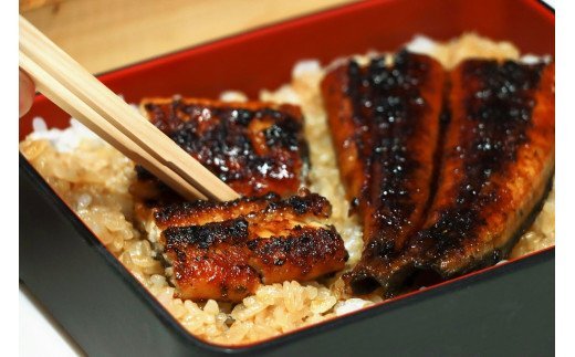 極上！国産うなぎ蒲焼 1尾（約200g） 創業100年以上続く老舗 紀州備長炭でじっくり焼き上げた専門店の味 （タレ・山椒付き）/ うなぎ ウナギ 鰻 蒲焼 国産 ふるさと納税【skr001A】