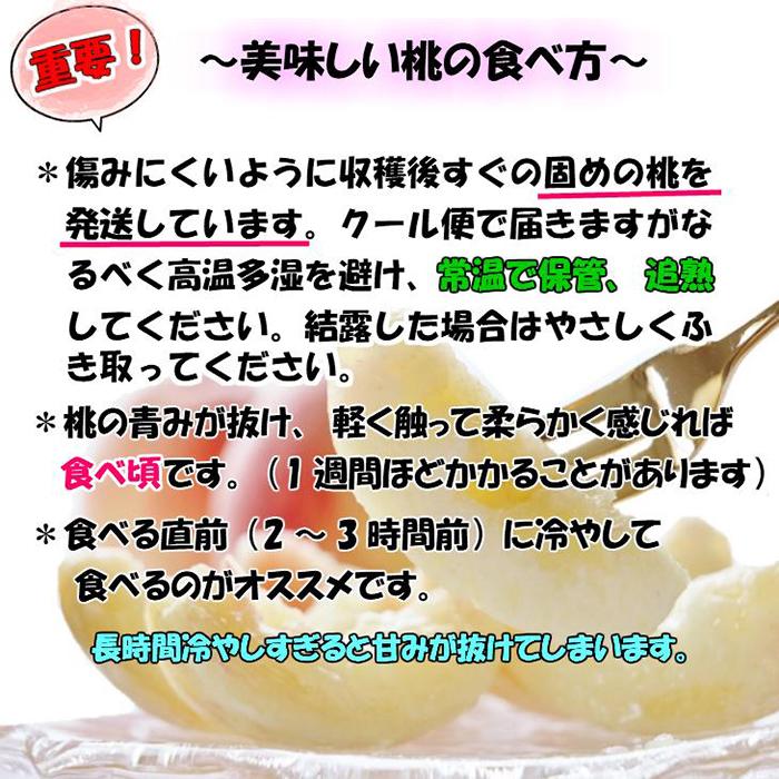 【秀品】和歌山ブランド白桃 約2kg！2025年 7月発送分【NGT6】