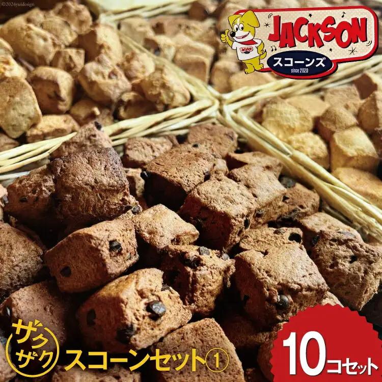 ザクザク スコーン オススメ10コセット(1) (プレーン チョコチップ 発酵バター キャラメルコーヒー ホワイトチョコクランベリー)各2個 計10個[JACKSONスコーンズ 高知県 津野町 26ab0001] お菓子 冷蔵
