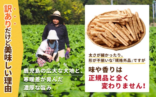 鹿児島県産 洗い【太い】 ごぼう 約3kg 【規格外・訳あり品】【2026年12月上旬-3月下旬発送予定】 ZS-9100