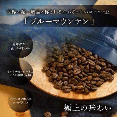 ふるさと納税 下呂市 緑の館 / ジャマイカ・ブルーマウンテンNo.1  豆 600g(200g×3袋)【17-132】 |  | 01