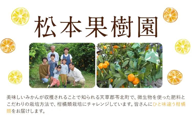 みかん 豊福 5kg 松本果樹園 《10月中旬-10月下旬出荷予定》 熊本県 苓北町 スイーツ デザート 果物 ミカン 蜜柑