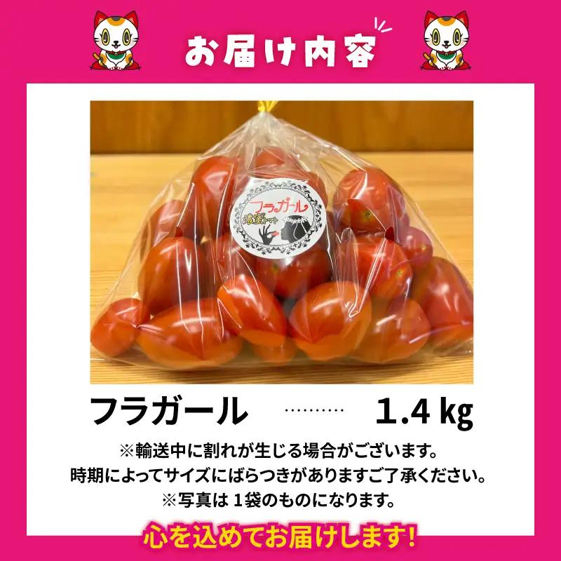 【先行予約】【2027年1月中旬以降発送】フルーツトマト　フラガール1.4kg（へたなし）