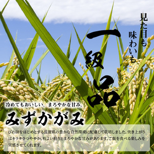 令和7年度産  近江米「みずかがみ」 5kg　 AD-0066
