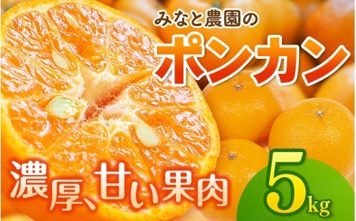 
                  【数量限定】みなと農園のポンカン 約5kg 【2027年2月上旬頃〜順次発送】 みかん ミカン 柑橘 フルーツ 果物 くだもの 甘い 旬 人気 果汁 濃厚 ジューシー デザート 産地直送 農家直送 みかん 国産 お取り寄せ 新鮮 期間限定 季節限定 先行予約 おすすめ 三重県 熊野市【mntf0011】
                