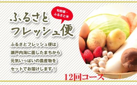 E-03 ふるさとフレッシュ便（旬野菜・ふるさと米）１２回コース